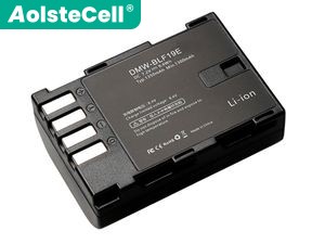 Battery for Panasonic BLF19E