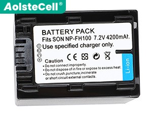 Battery for Sony DCR-SR80