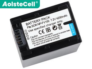 Battery for Sony np-fv100
